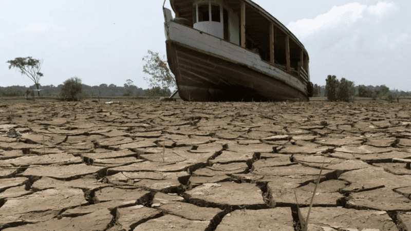 Impacto das chuvas e secas nas faixas da Amazônia