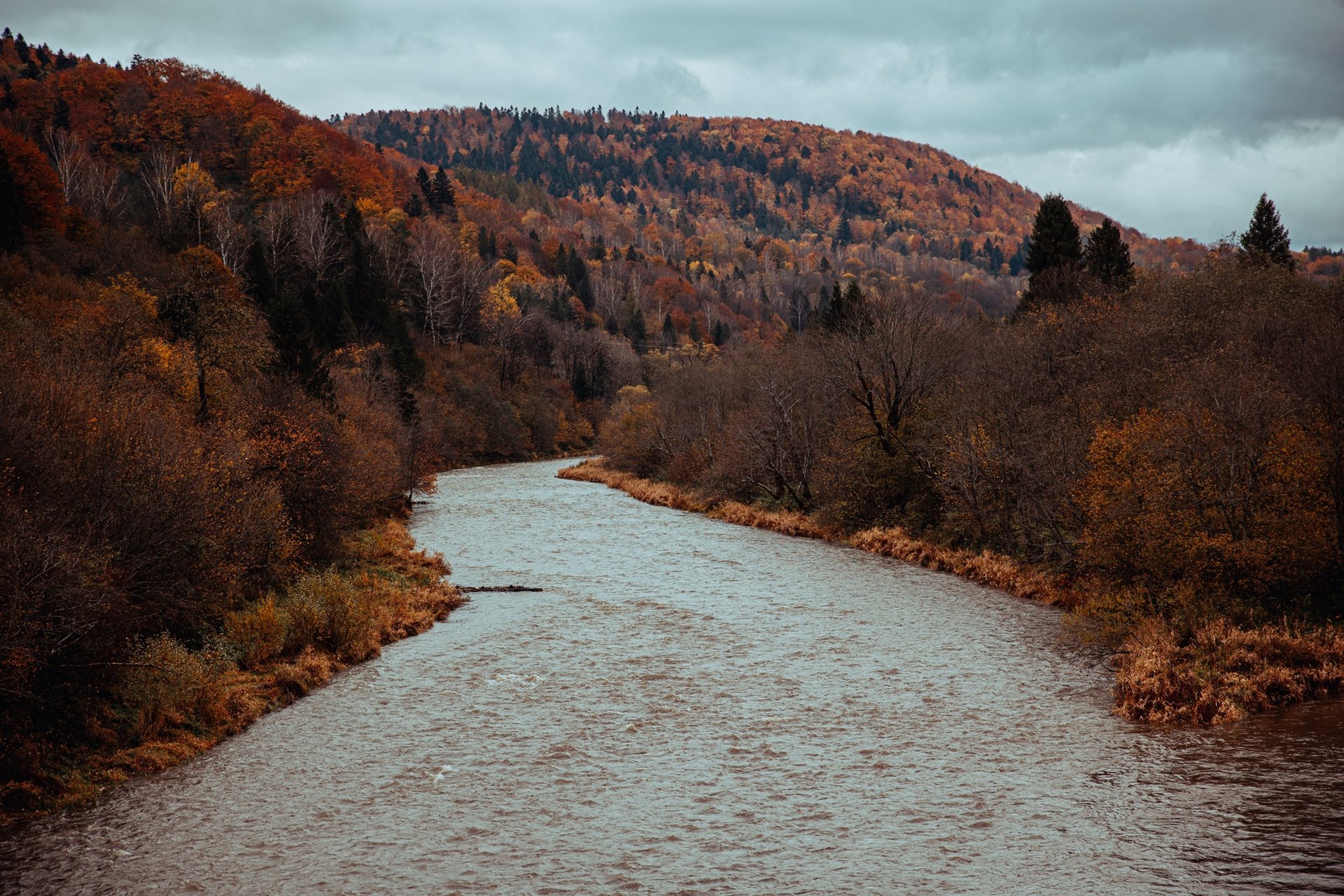 rzeka i las w górach jesienią